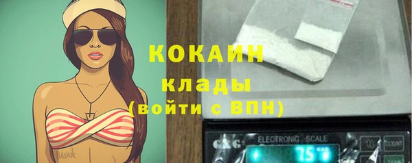 крисы Арсеньев