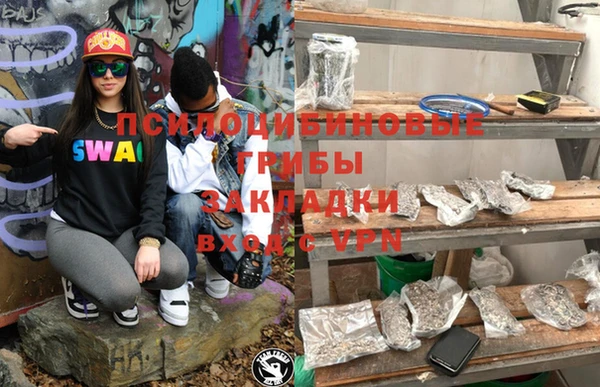 молекула духа Баксан
