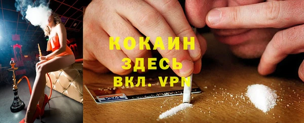крисы Арсеньев